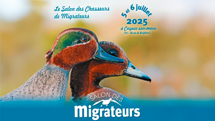 Rendez-vous au Salon des Migrateurs les 5 et 6 juillet 2025 à Cayeux-sur-Mer
